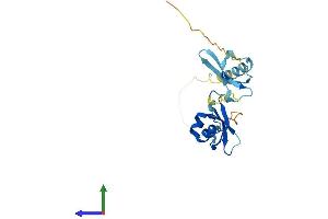 AlphaFold protein structure predicition of Human Recombinant CBX1 Protein, UniprotID P83916 (CBX1 Protein (AA 1-185) (His tag))