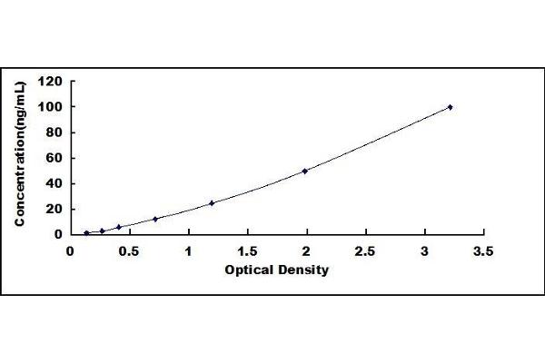 Prolactin ELISA Kit