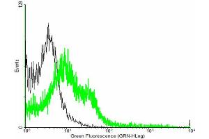 FACS analysis of negative control 293 cells (Black) and EFEMP2 expressing 293 cells (Green) using EFEMP2 purified MaxPab mouse polyclonal antibody. (FBLN4 antibody  (AA 1-443))