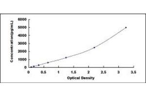 Typical standard curve (Klotho beta ELISA Kit)
