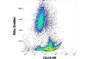 Flow cytometry surface staining pattern of human peripheral whole blood stained using anti-human CD29 (MEM-101A) PE antibody (20 μL reagent / 100 μL of peripheral whole blood). (ITGB1 antibody  (PE))