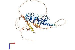 AlphaFold protein structure predicition of Human Recombinant POTEH Protein, UniprotID Q6S545 (POTEH Protein (AA 1-545) (His tag))