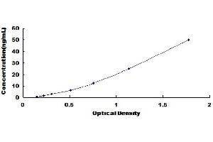 Insulin Receptor Substrate 2 (IRS2) ELISA Kit