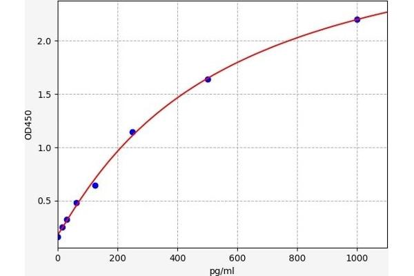 ULK1 ELISA Kit