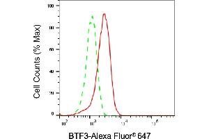 Flow cytometric analysis of BTF3 expression in HepG2 cells using BTF3 antibody (ABIN7797733), 1:2,000). (Recombinant BTF3 antibody)