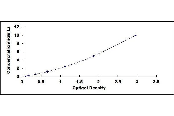 CNDP1 ELISA Kit