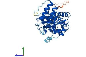Protein Structure (PS) image for serine/threonine/tyrosine Interacting-Like 1 (STYXL1) (AA 1-313) protein (His tag) (ABIN7544050)