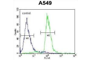 Flow Cytometry (FACS) image for anti-PARP1 Binding Protein (PARPBP) antibody (ABIN2995516) (PARPBP antibody)