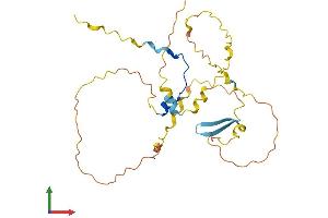 AlphaFold protein structure predicition of Human Recombinant POU2AF1 Protein, UniprotID Q16633