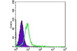 Flow Cytometry (FACS) image for anti-Chromodomain Helicase DNA Binding Protein 3 (CHD3) antibody (ABIN2983311) (CHD3 antibody)