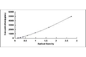 Typical standard curve (GGT7 ELISA Kit)