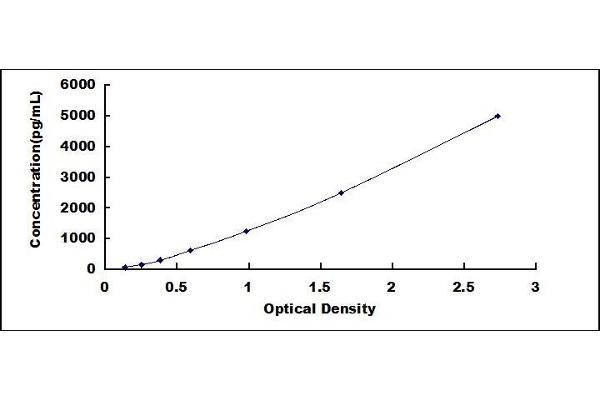 GGT7 ELISA Kit