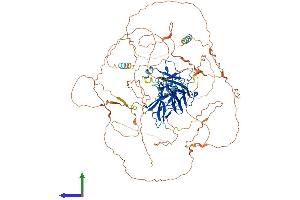 AlphaFold protein structure predicition of Human Recombinant NFATC1 Protein, UniprotID O95644 (NFATC1 Protein (AA 1-943) (His tag))
