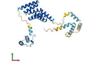 Protein Structure (PS) image for Small Glutamine-Rich Tetratricopeptide Repeat (TPR)-Containing, beta (SGTB) (AA 1-304) protein (His tag) (ABIN7559846)