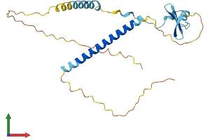 AlphaFold protein structure predicition of Mouse Recombinant Cby3 Protein, UniprotID Q9CVN6 (CBY3 Protein (AA 1-235) (His tag))