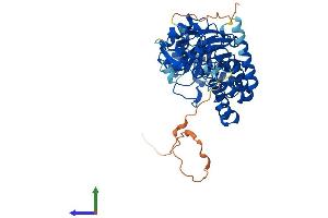 Protein Structure (PS) image for Dihydrouridine Synthase 2-Like (DUS2L) (AA 1-493) protein (His tag) (ABIN7561076)