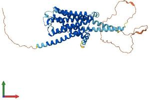 Protein Structure (PS) image for Serotonin Receptor 1A (HTR1A) (AA 1-421) protein (His tag) (ABIN7563984)