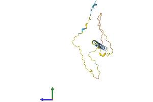 AlphaFold protein structure predicition of Human Recombinant GAPT Protein, UniprotID Q8N292