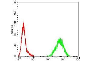 Flow cytometric analysis of Hela cells using PD1 mouse mAb (green) and negative control (red). (PD-1 antibody  (AA 192-288))