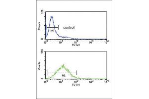 Flow Cytometry (FACS) image for anti-Tumor Protein, Translationally-Controlled 1 (TPT1) antibody (ABIN3003778) (TPT1 antibody)
