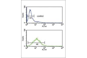 Flow Cytometry (FACS) image for anti-Tumor Protein, Translationally-Controlled 1 (TPT1) antibody (ABIN3003778) (TPT1 antibody)