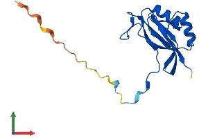 AlphaFold protein structure predicition of Human Recombinant GLOD5 Protein, UniprotID A6NK44