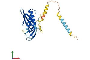 Protein Structure (PS) image for Receptor (Chemosensory) Transporter Protein 2 (RTP2) (AA 1-225) protein (His tag) (ABIN7545868)