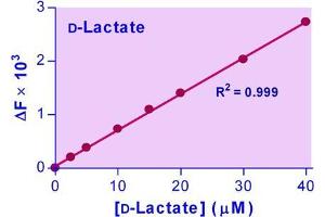 Biochemical Assay (BCA) image for D-Lactate Assay Kit (ABIN1019678) (D-Lactate Assay Kit)