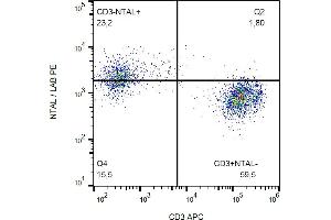 Flow cytometry analysis (intracellular staining) of NTAL in human peripheral blood lymphocytes using anti-NTAL (NAP-07) PE. (LAT2 antibody  (Cytoplasmic Domain) (PE))