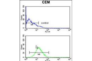 Flow cytometry analysis of CEM cells (bottom histogram) compared to a negative control cell (top histogram).