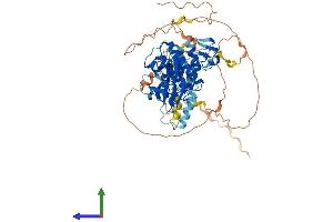 AlphaFold protein structure predicition of Mouse Recombinant Araf Protein, UniprotID P04627 (ARAF Protein (AA 1-604) (His tag))