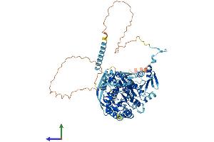 AlphaFold protein structure predicition of Human Recombinant CPSF2 Protein, UniprotID Q9P2I0