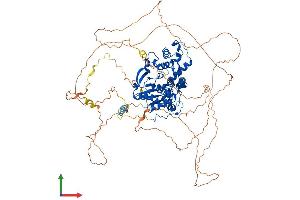 Protein Structure (PS) image for Exonuclease 1 (EXO1) (AA 1-846) protein (His tag) (ABIN7553847)