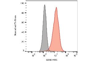 Surface staining of CD90 in Jurkat cells with anti-CD90 (5E10) FITC. (CD90 antibody  (FITC))