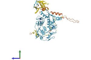 AlphaFold protein structure predicition of Mouse Recombinant Prdm5 Protein, UniprotID Q9CXE0