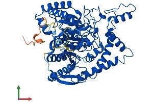 Protein Structure (PS) image for Glutaminyl-tRNA Synthase (Glutamine-Hydrolyzing)-Like 1 (QRSL1) (AA 1-525) protein (His tag) (ABIN7560796)