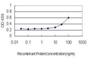 Detection limit for recombinant GST tagged LFNG is approximately 3ng/ml as a capture antibody. (LFNG antibody  (AA 1-250))