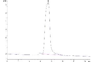 The purity of Mouse CX3CL1 is greater than 95 % as determined by SEC-HPLC. (CX3CL1 Protein (AA 25-336) (His tag))