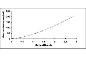 Insulin Autoantibody ELISA Kit