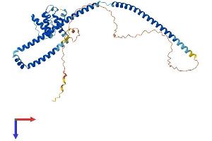 CLUAP1 Protein (AA 1-413) (His tag)