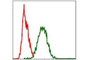 Flow cytometric analysis of Hela cells using FAS mouse mAb (green) and negative control (red).