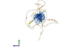 AlphaFold protein structure predicition of Human Recombinant NPAS1 Protein, UniprotID Q99742 (NPAS1 Protein (AA 1-590) (His tag))