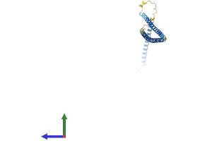 Protein Structure (PS) image for Suppressor of IKBKE 1 (SIKE1) (AA 1-207) protein (His tag) (ABIN7560474)