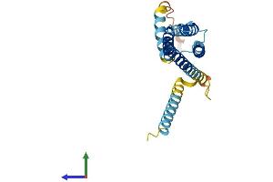 AlphaFold protein structure predicition of Mouse Recombinant Cmtm2b Protein, UniprotID Q9DAC0 (CMTM2B Protein (AA 1-210) (His tag))