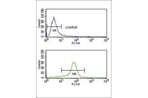 Flow Cytometry (FACS) image for anti-Calcium Channel, Voltage-Dependent, alpha 2/delta Subunit 1 (CACNA2D1) antibody (ABIN3003877) (CACNA2D1 antibody)