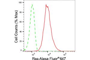 Flow cytometric analysis of Ras expression in HepG2 cells using Ras antibody (ABIN7799627), 1:2,000). (Recombinant NRAS/HRAS/KRAS antibody)