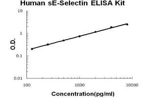 Human sE-Selectin PicoKine ELISA Kit standard curve (Selectin E/CD62e ELISA Kit)