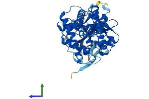 AlphaFold protein structure predicition of Human Recombinant UGCG Protein, UniprotID Q16739 (UGCG Protein (AA 1-394) (His tag))