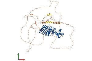 Protein Structure (PS) image for SUMO1/sentrin Specific Peptidase 5 (SENP5) (AA 1-755) protein (His tag) (ABIN7555472)