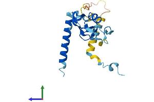 AlphaFold protein structure predicition of Mouse Recombinant Rnf181 Protein, UniprotID Q9CY62